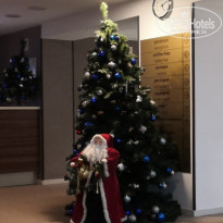 фото из отзыва ID 2110679