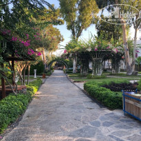 фото из отзыва ID 2110699