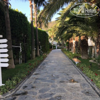 фото из отзыва ID 2110699