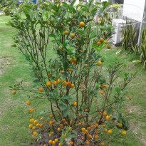 фото из отзыва ID 2110787