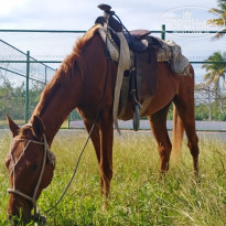 фото из отзыва ID 2110870