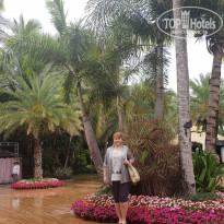 фото из отзыва ID 2110894