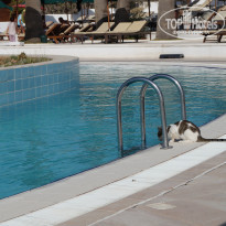 фото из отзыва ID 2110927