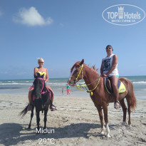 фото из отзыва ID 2110927