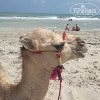 фото из отзыва ID 2110927