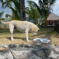 фото из отзыва ID 2110936