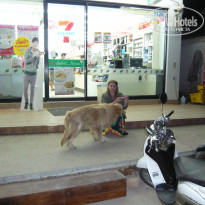 фото из отзыва ID 2110936