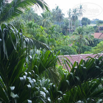 фото из отзыва ID 2110990