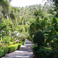 фото из отзыва ID 2110990