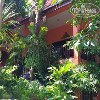 фото из отзыва ID 2110990