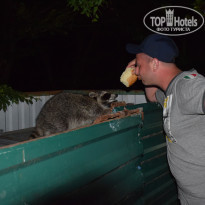 фото из отзыва ID 2111002