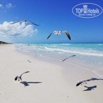 фото из отзыва ID 2111040