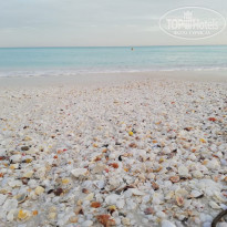 фото из отзыва ID 2111040