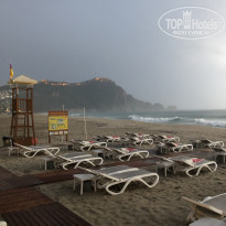 фото из отзыва ID 2111162