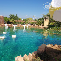 фото из отзыва ID 2111167