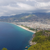 фото из отзыва ID 2111167