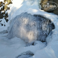 фото из отзыва ID 2111169