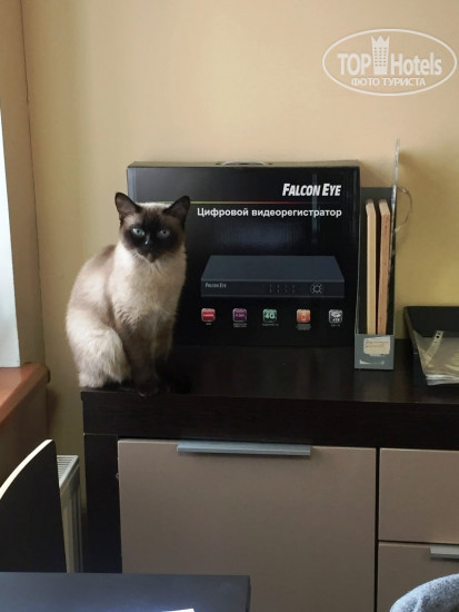 Хостелы Рус - Арбат