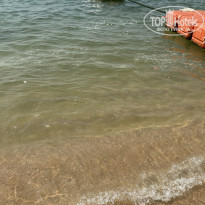 фото из отзыва ID 2111414