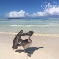 фото из отзыва ID 2111514