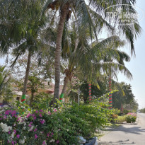 фото из отзыва ID 2111525