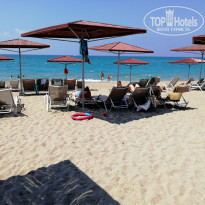 фото из отзыва ID 2111559