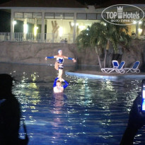 фото из отзыва ID 2111489