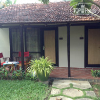 фото из отзыва ID 2111636