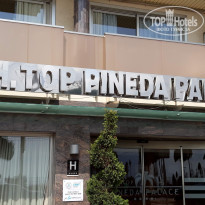 фото из отзыва ID 2111661