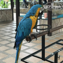 фото из отзыва ID 2111652