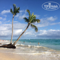 фото из отзыва ID 2111670