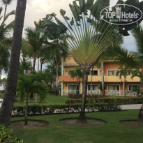 фото из отзыва ID 2111670