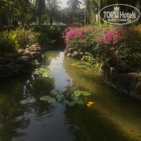 фото из отзыва ID 2111828