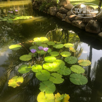 фото из отзыва ID 2111828