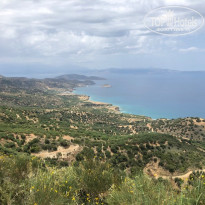 фото из отзыва ID 2111841