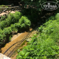 фото из отзыва ID 2111841