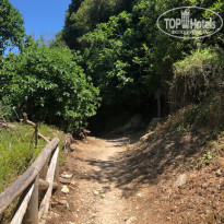 фото из отзыва ID 2111841