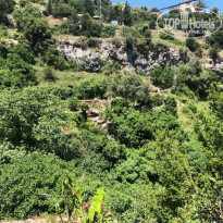 фото из отзыва ID 2111841