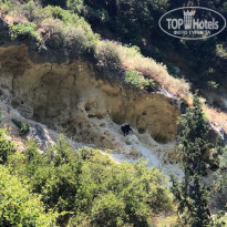 фото из отзыва ID 2111841