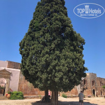 фото из отзыва ID 2111841