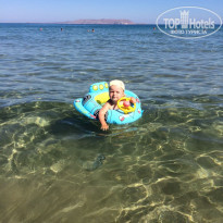 фото из отзыва ID 2111859