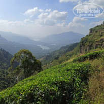 фото из отзыва ID 2111863