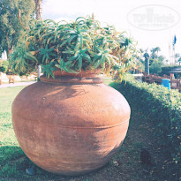 фото из отзыва ID 2111958