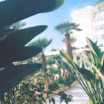 фото из отзыва ID 2111958