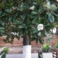 фото из отзыва ID 2112073