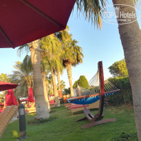 фото из отзыва ID 2112086