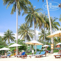 фото из отзыва ID 2112094