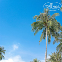 фото из отзыва ID 2112094