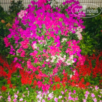 фото из отзыва ID 2112105