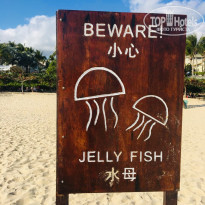 фото из отзыва ID 2112105